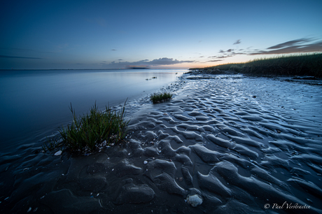 Westerschelde