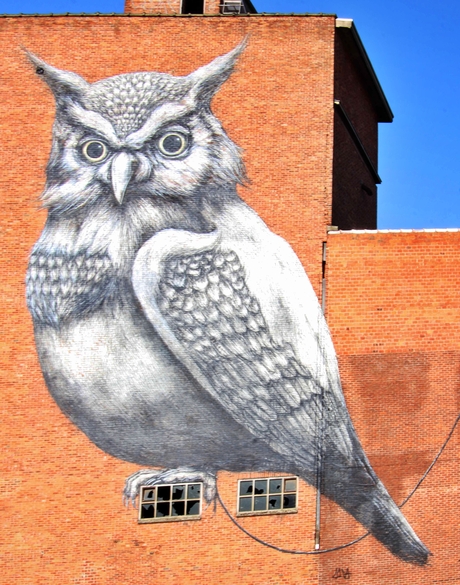 Street art Hasselt 1