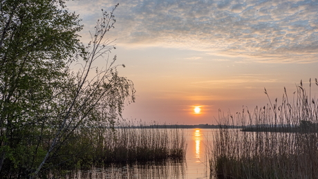 Leekstermeer