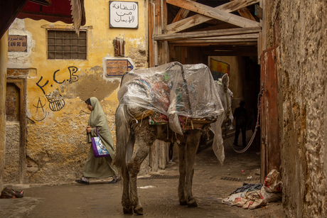 straatje in Fez