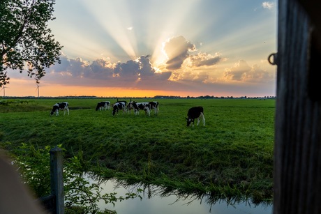 Zonnestralen 