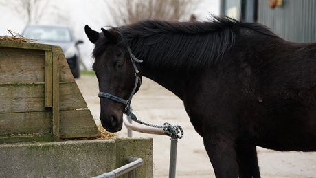 lenstest |Sigma 70-200 | F2.8