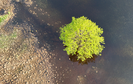 From above!