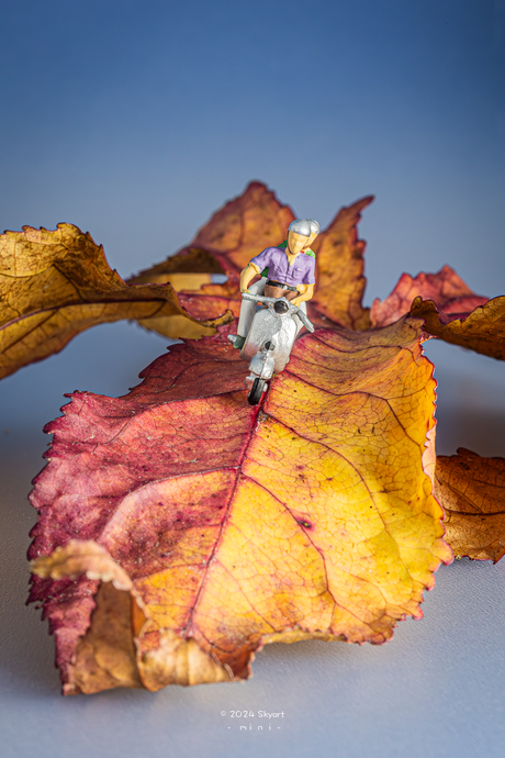 Autumn ride