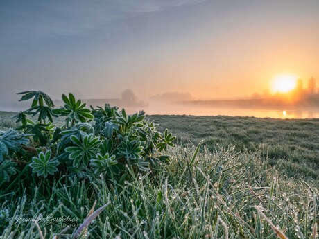 Zonsopkomst aan de Overijsselse Vecht