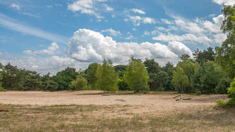 Zandverstuiving Rosmalen