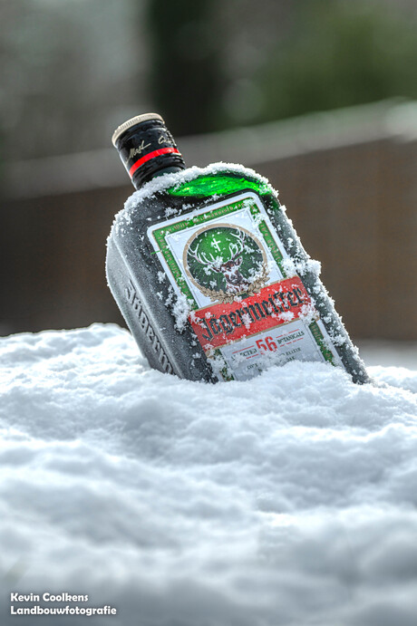 Jagermeister in de sneeuw!