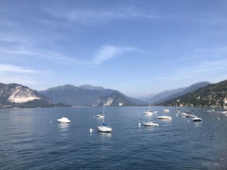 Such a sunny feeling