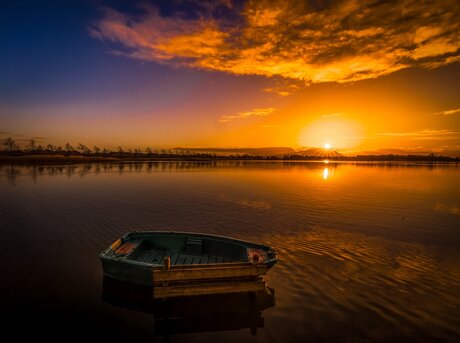 Gewoon in ons kikkerlandje