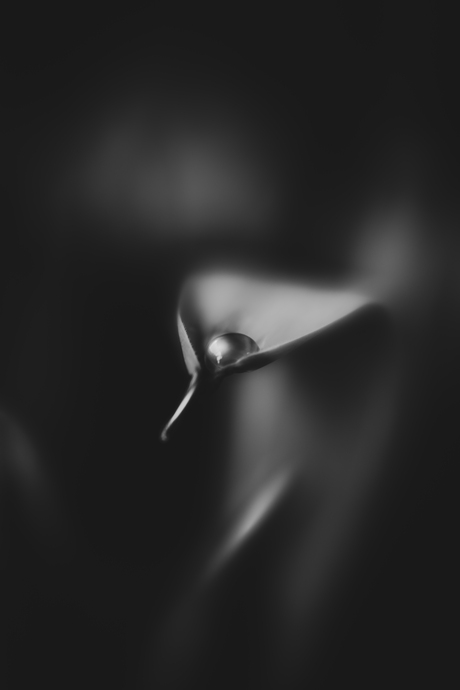 Tenderness
