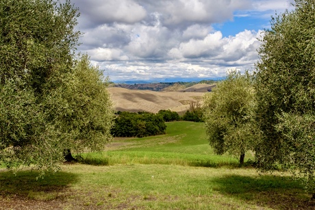 Toscane