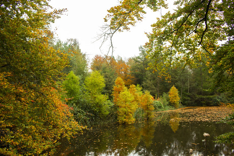 Herfstkleuren volop.