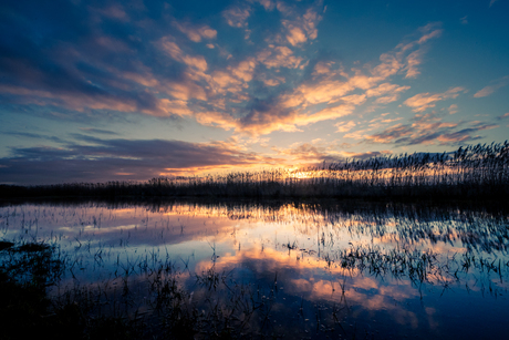 Wolkenperspectief