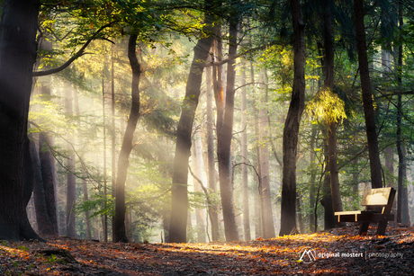 De rust van ochtendstralen...