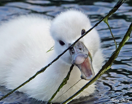 "En haaap, van mij...."
