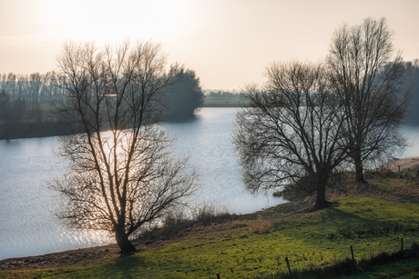 Zon laag boven de Waal