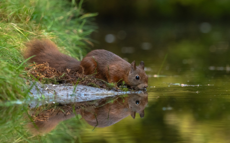 Thirsty 