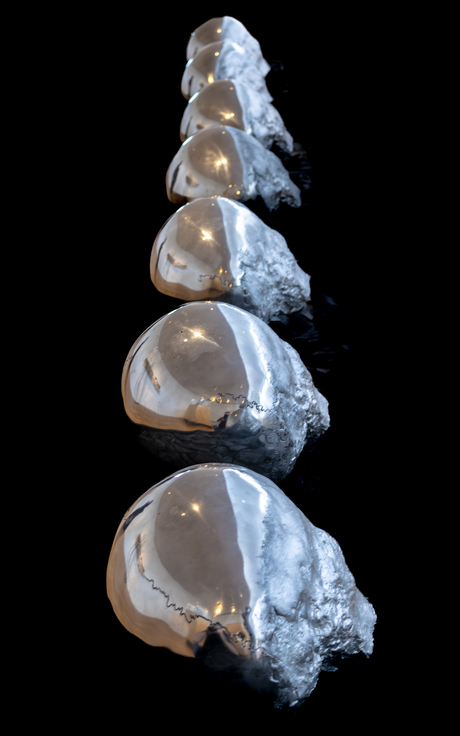 Schedels van oud naar jong