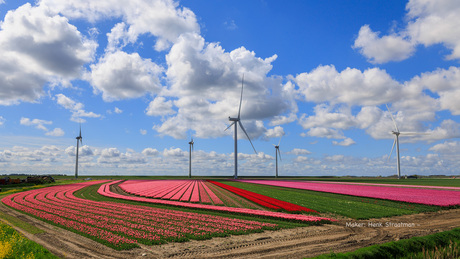 Prachtige lijnenspel met al die kleuren!