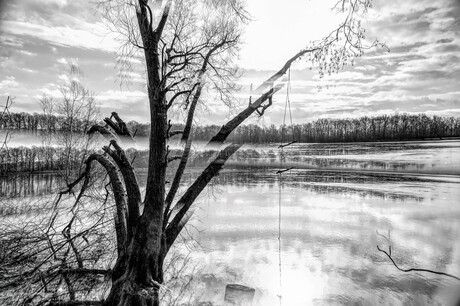 Echo's van Vergane Zomers