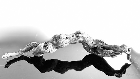 Spelen met licht&structuur