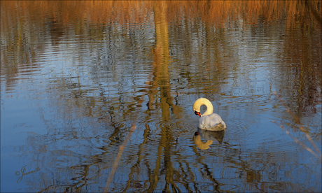 Spiegeltje spiegeltje..............