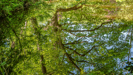 Weerspiegeling