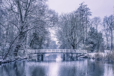 Winter in het Park. 