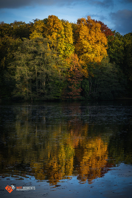 Herfst op zijn mooist in kleur