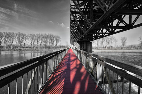 Follow the red path. 