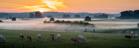 Mistige zonsopgang 