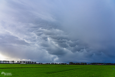 Mammatus onder een bui