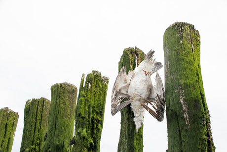 Van uitzichtpunt naar punt zonder uitzicht