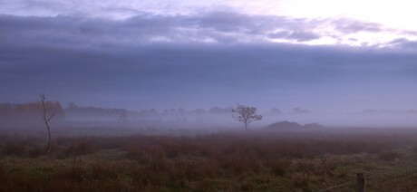 zonsopgang 8-11-2025