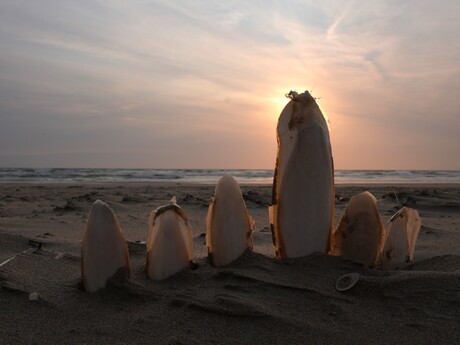 Beachhenge