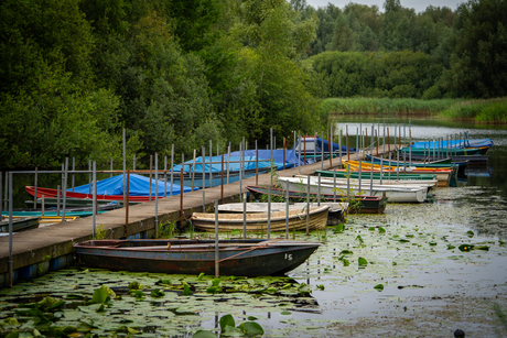 Haven in natuurgebied