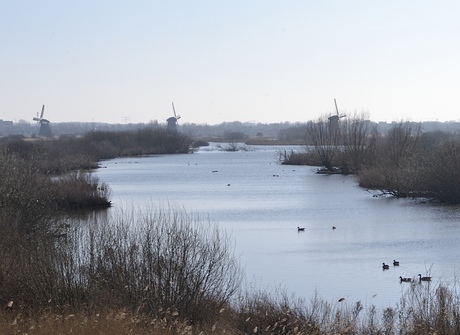 Oerhollands landschap