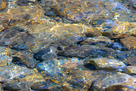 Spel tussen zon en water