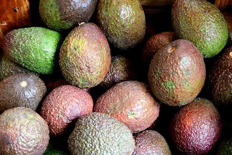 avocado's