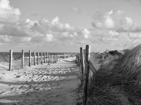 Duinen ochtendzon