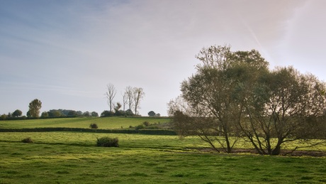 Beemden
