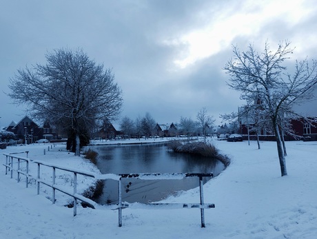 Winter wonderland 3-1-2026