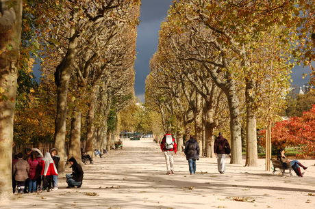 Herfst in Parijs