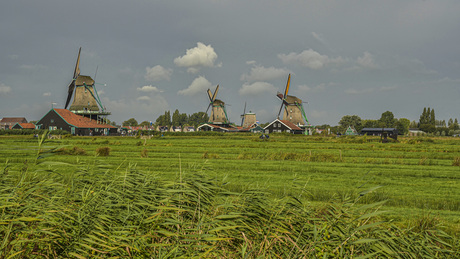 Zaanse schans 