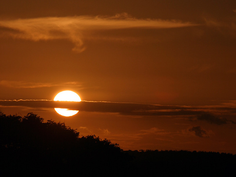 Texel