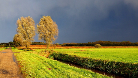 Herfst licht