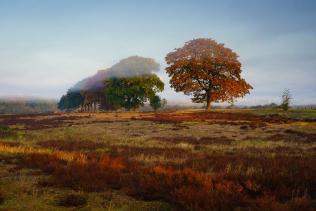 United colours van de Nederlandse herfst