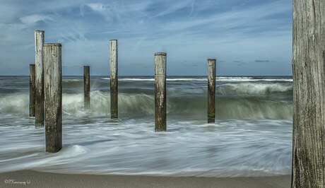 Palendorp Petten