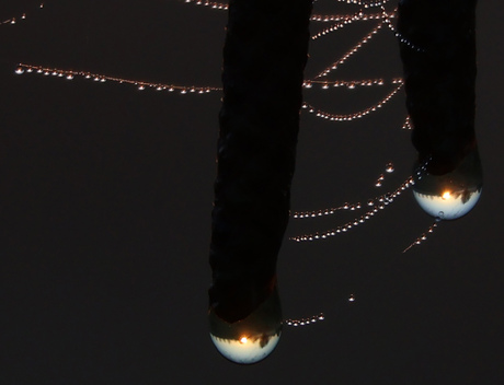 De zon druppelt binnen....