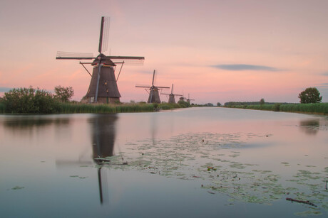 5 Molens Kinderdijk